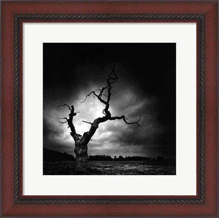 Framed Last Tree Print