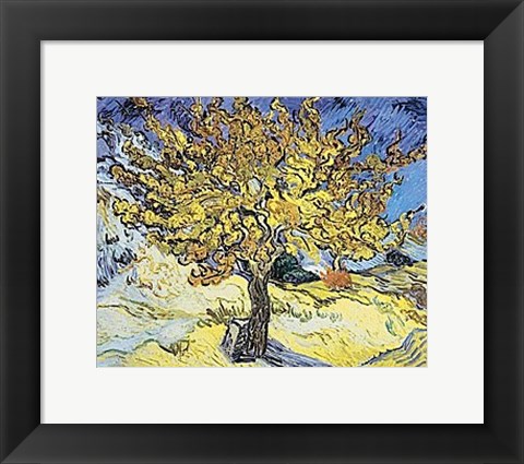 Framed Mulberry Tree, 1889 Print