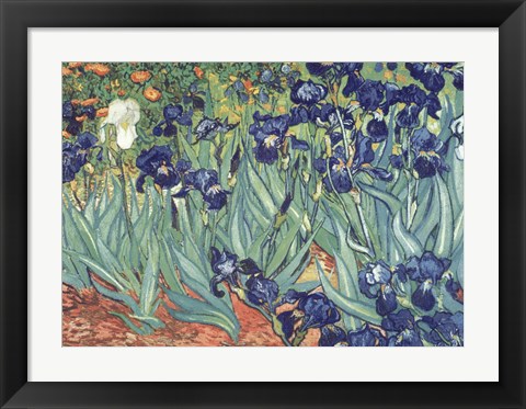 Irises in the Garden Painting by Vincent Van Gogh at FramedArt.com