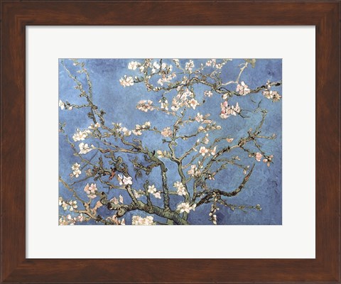 Framed Almond Blossom, 1890 Print