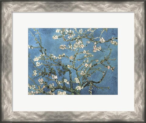 Framed Almond Blossom, 1890 Print