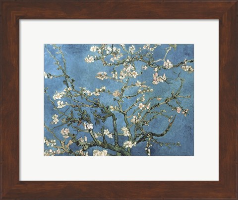 Framed Almond Blossom, 1890 Print