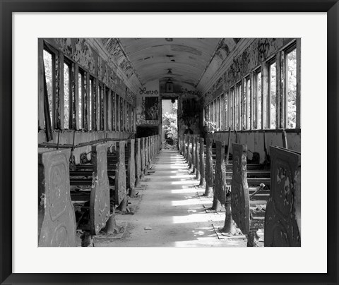 Framed Overgrowth Along The Line Print