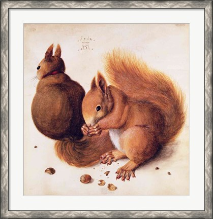 Framed Squirrels, 1512 Print
