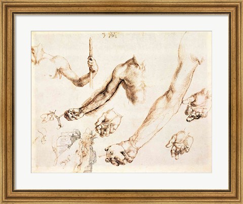 Framed Study of male hands and arms Print