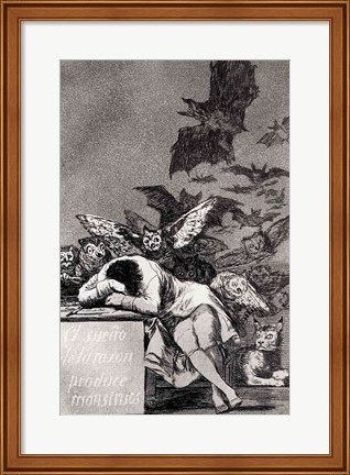 Framed Sleep of Reason Produces Monsters Print