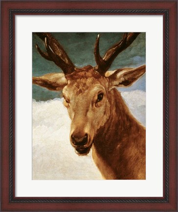 Framed Head of a Stag, 1634 Print