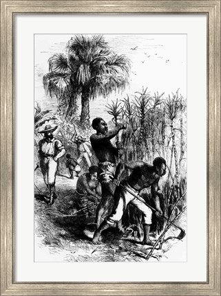 Framed Slaves Working on a Plantation Print
