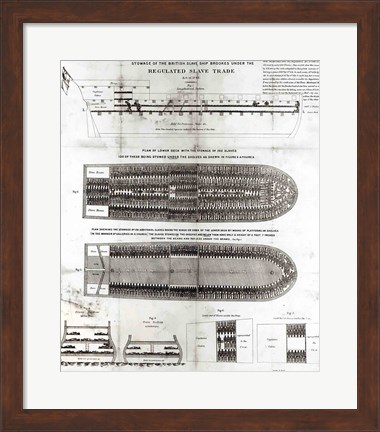 Framed Stowage of the British Slave Ship &#39;Brookes&#39; Under the Regulated Slave Trade Act of 1788 Print
