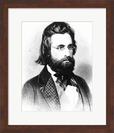 Framed Andrew Jackson Print