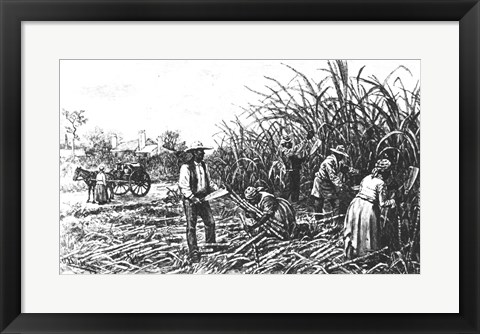 Framed Cutting Sugar Cane in the South Print