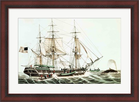 Framed American Whaler Print