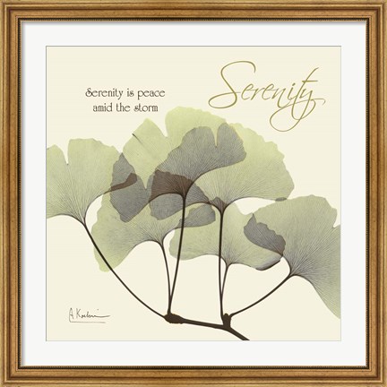 Framed Serenity Gingko Print