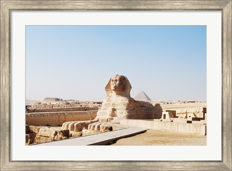 Framed Sphinx Print