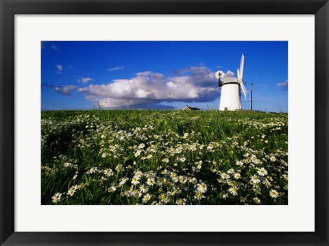 Framed Ballycopeland Windmill, Millisle, Northern Ireland Print