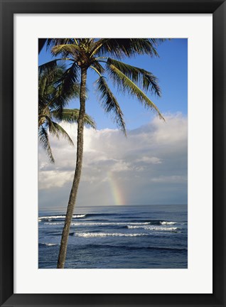 Framed Kauai Hawaii - Palm Tree Print