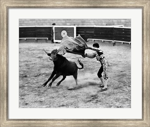 Framed Matador fighting with a bull Print