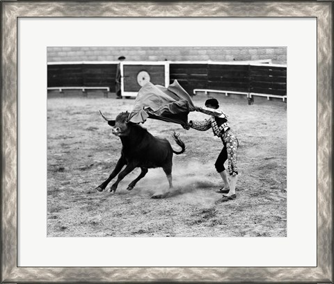 Framed Matador fighting with a bull Print