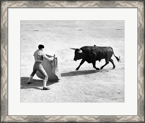 Framed High angle view of a bullfighter with a bull in a bullring, Madrid, Spain Print