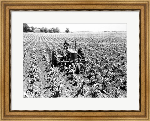 Framed Farmer Driving Tractor in Field Print