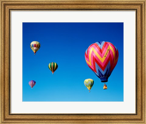 Framed Group of Hot Air Balloons Print