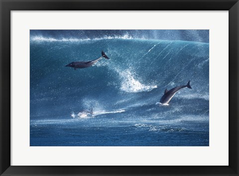 Framed Dolphins Catching A Wave Print