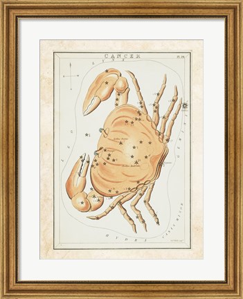 Framed Cancer Zodiac Sign Print