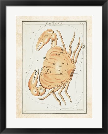 Framed Cancer Zodiac Sign Print