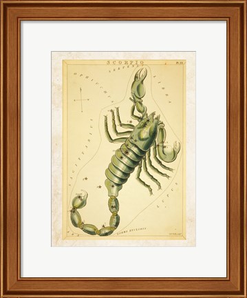Framed Scorpio Zodiac Sign Print