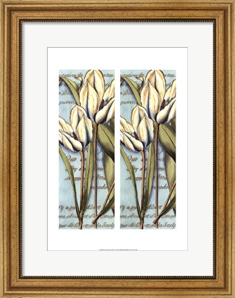 Framed 2up French Tulip I Print