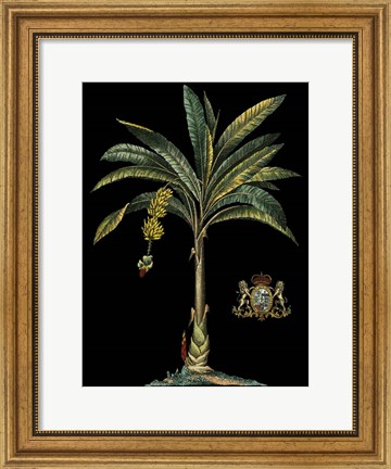 Framed Palm &amp; Crest on Black I Print