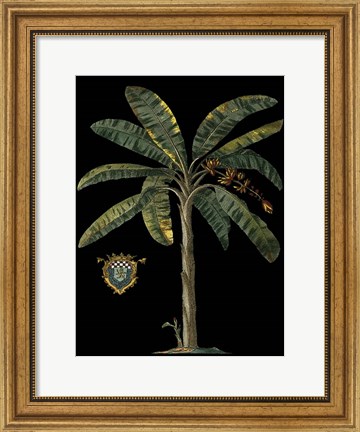 Framed Palm &amp; Crest on Black II Print