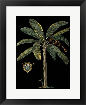 Framed Palm &amp; Crest on Black II Print