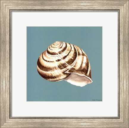 Framed Shell on Aqua I Print