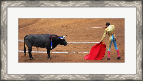Framed Bull and Matador Stand Off Print