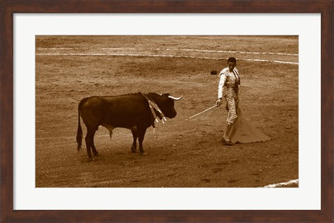 Framed Matador and Bull Print