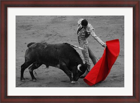 Framed Red Matador II Print