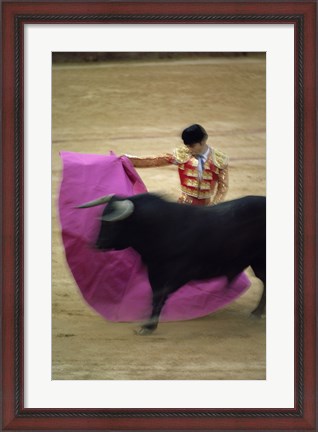 Framed matador and a bull at a Bullfight, Spain Print