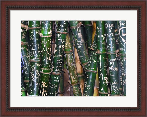 Framed Bamboo Graffiti Print