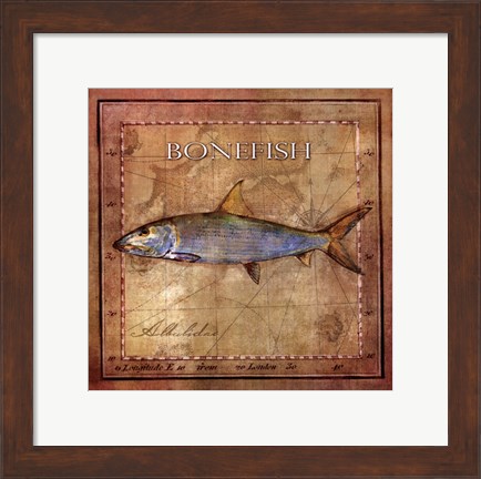 Framed Ocean Fish IV Print