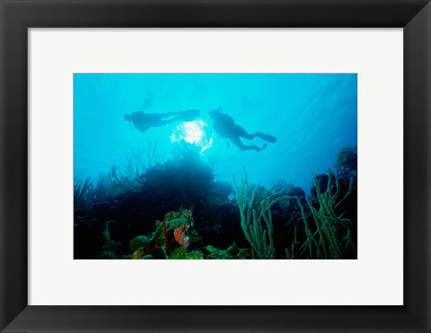 Framed Low angle view of two scuba divers swimming underwater, Belize Print