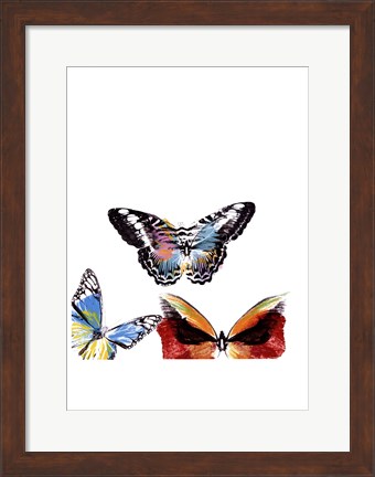 Framed Butterflies Dance II Print