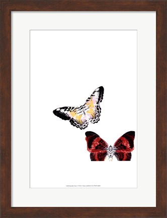 Framed Butterflies Dance V Print