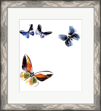 Framed Butterflies Dance VII Print