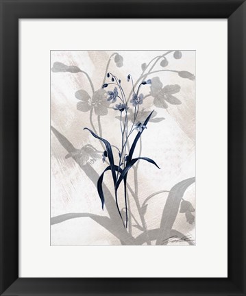Framed Indigo Bloom III Print