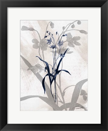 Framed Indigo Bloom III Print