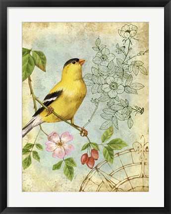 Framed Songbird Sketchbook III Print