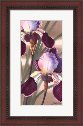 Framed Asian Iris II Print
