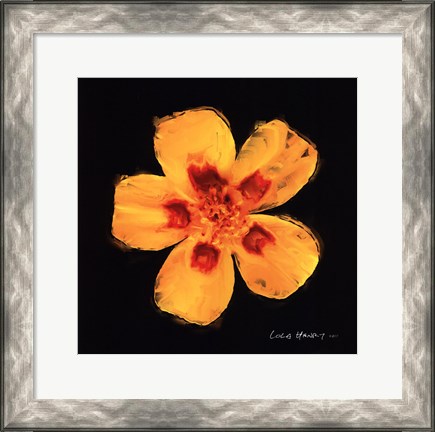 Framed Vibrant Flower X Print