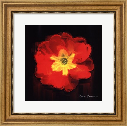Framed Vibrant Flower IX Print